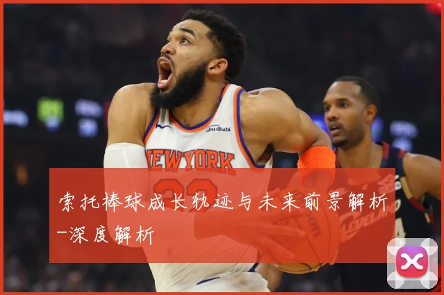索托棒球成长轨迹与未来前景解析-深度解析